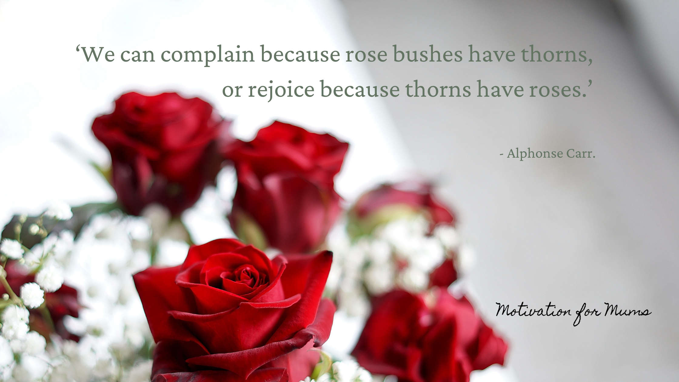 ‘We can complain because rose bushes have thorns, or rejoice because thorns have roses.’ (2)